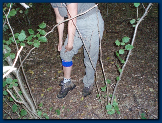 600x449 pixels (184K)